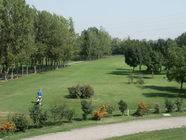 PICT0080.JPG