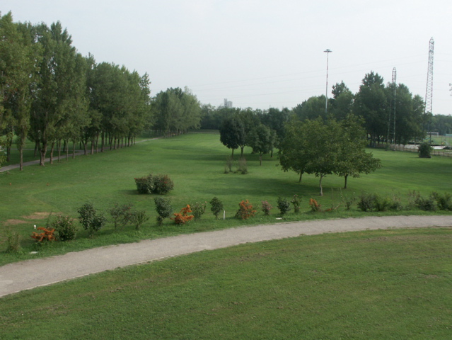 PICT0049.JPG